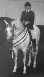 1988 - Ultimado II 1988 Nat Stallion CH and Res Nat Ridden CH