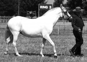 2001 - Oretana III - Best Female Movement
