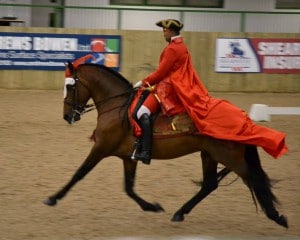 Dressage to Music - Harry and James 1crpd