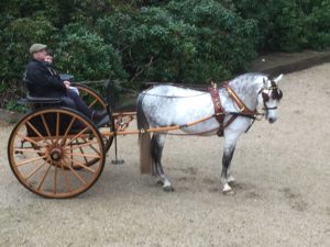 2016-04-11 Embajador LIX one of the Vander Wiel team